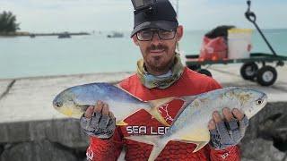 Pompano season start now! high priced beach fish on bannana jigs