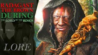 Where Was RADAGAST THE BROWN During The War Of The Ring? | Middle Earth Lore