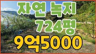 창원토지매매 N202400 봉림동 자연녹지지역 9억5000 2,390㎡ 724평 도로접하며 차량진출입가능 전기,지하수有 유실수다량식재중