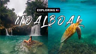 Exploring Moalboal Philippines & Canyoneering in Kawasan Falls