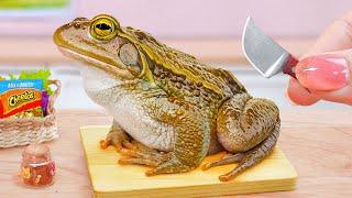Catching Frog In Garden  Best Miniature Cheetos Fried Frog Leg Cooking Recipe  Tina Mini Cooking