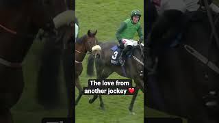 JOCKEY CONGRATULATES THE HORSE THAT BEAT HIM AT CHELTENHAM 🫡 #horse #cheltenhamfestival #animals