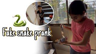 Fake snake prank  || funny Marathi vlog