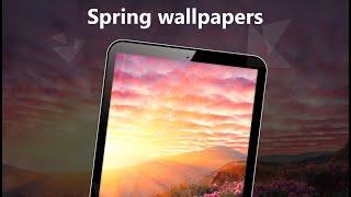 Spring wallpapers 4k