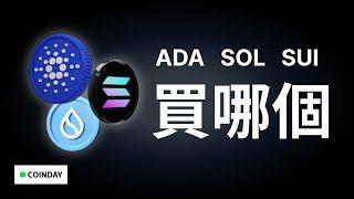 ADA, SOL, SUI 買誰？！ #bitcoin #ada #dailybitcoinnews #ethereum  #solana #suicoin #拳上