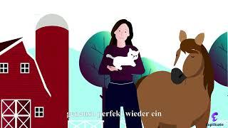 Animiertes Erklärvideo - Erklärvideo Anbieter