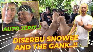 DISERBU ANABUL..!! SNOWEE AND THE GANK NGAMUK..!!