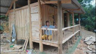 TIMELAPSE: START To FINISH 240 Days BUILD LOG CABIN - Build Wooden House, Wooden Wall - Farm Life