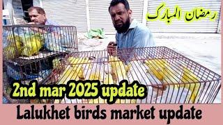 Sunday lalukhet birds market update/2nd mar 2025 latest update