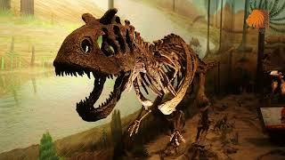 Balasinor Dinosaur Museum - Enter into the World of Dinosaurs