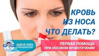 Кровь из носа, что делать? Отвечает ЛОР врач