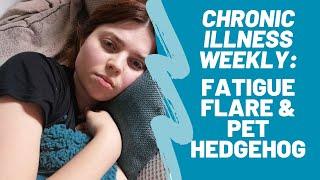 Chronic Illness Weekly Vlog: Fatigue Flare & Pet Hedgehog Outside