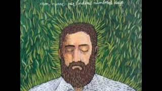  Iron & Wine~Teeth In The Grass.flv