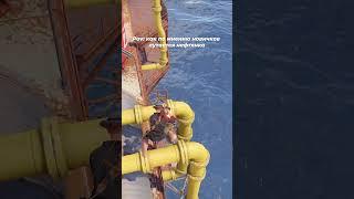Как лутается нефтянка по мнению новичков в Раст/Rust  #rust #раст #recommended