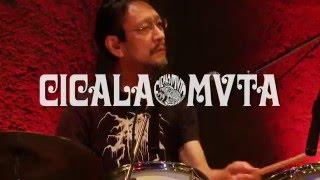 CICALA-MVTA Live in Tokyo Dec.28th 2015