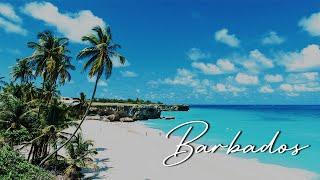 Top 6 Best Honeymoon Resorts In Barbados