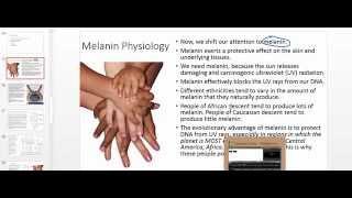 Melanin Physiology: Melanin Absoprtion of UV Light and Internal Conversion to Heat