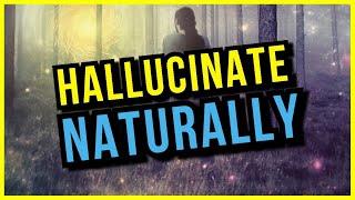How To Hallucinate Naturally Without Drugs In 3 Minutes
