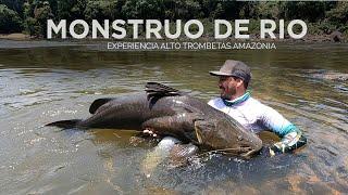 Pesca de Bagre gigante Monstruo de río Jaú en Alto Trombetas , Amazonia