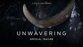 Unwavering | Official Trailer | a film by Chris Schmid