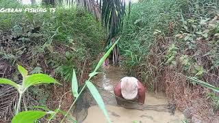 mencari ikan di parit yang panjang turun kemarau panjang