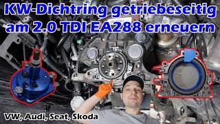 2,0 TDI - EA288 Kurbelwellendichtring erneuern mit Spezialwerkzeug VW AUDI SEAT SKODA