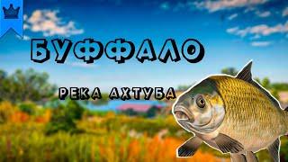 ЖДЕМ СИНЕГО БУФФАЛО   РУССКАЯ РЫБАЛКА 4  RUSSIAN FISHING 4