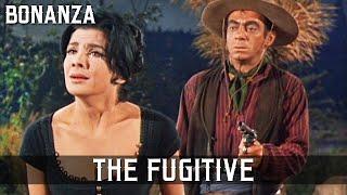 Bonanza - The Fugitive | Episode 52 | WESTERN SERIES | Full Length | Cowboy