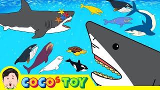 50MinㅣA collection of 5 stories about animals adventure under the seaㅣSea animals for kidsㅣCoCosToy