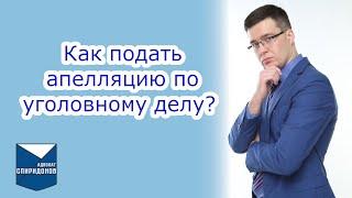 Как подать апелляцию по уголовному делу? Рассмотрение дела в апелляции.