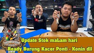 Update Stok maLam hari - Ready Burung Kacer Ponti - Konin dll