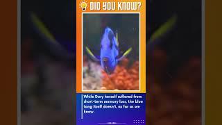 9 Fun Facts About Blue Tang Fish (The Cute Dory) - part 4 #shorts #bluetang #dory