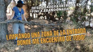 TRONCOS pesados y más SORPRESAS ‍DESPEJANDO una nueva zona de esta FINCA ABANDONADA. Vlog11