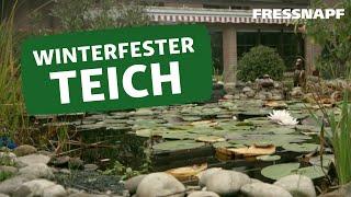 So macht ihr den Teich winterfest