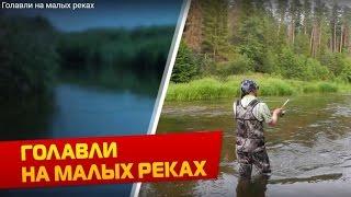 Голавли на малых реках : На рыбалку с Нижегородцами