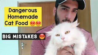 Homemade Cat Food  Recipe Gone Wrong way  | Don't do these mistakes while making Homemade Cat Food