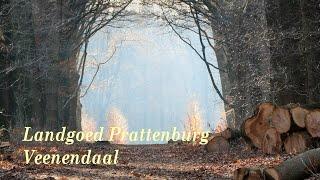 Landgoed Prattenburg Veenendaal