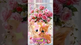 Сергей,с днём рождения  #cat #приколы #cute #котики