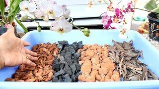 How to make best Potting Mix for Orchid | English Subtitle | Prakriti's Garden