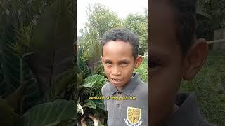 Makan dengan Bibi