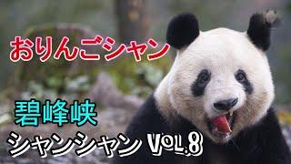 碧峰峡シャン Vol.8 おりんごシャン