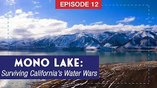 Mono Lake: Surviving California's Water Wars