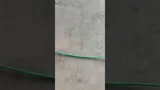 Fireworks Green fuse,if you need it,please contact us ,can export to world
