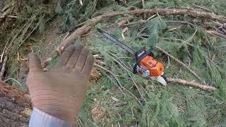 Stihl ms500i vs A Tall Pine, Using Mini Swing & Soft Dutchman Combo, Sizzwell Added for the ICING