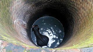 Poor Elephant begging for life in a deep well miraculously rescued thanks to the physics