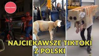 Camera Polska #12 - Najciekawsze TikToki z Polski