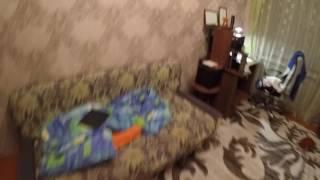 ЧТО БУДЕТ ЕСЛИ ПАРТИЗАНА-ТАРАКАНА ЗАЛИТЬ ОДЕКОЛОНОМ ШИПР? СЁМА СТАРЫЙ ПРЕДСТАВЛЯЕТ!
