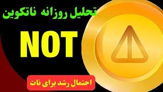 تحلیل نات کوین | احتمال رشد ناتکوین | خبر مهم فردا و NOT