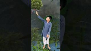 VFX video magic video dj sond tauseef wasif #shortvideo #funny #viral