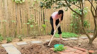 Decorating the garden: Build a unique fence, plant chili peppers, and cook tasty duck